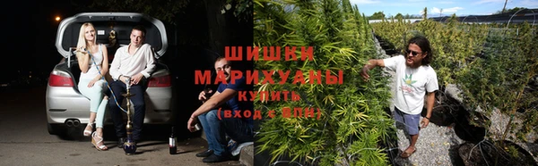 гидропоника Баксан