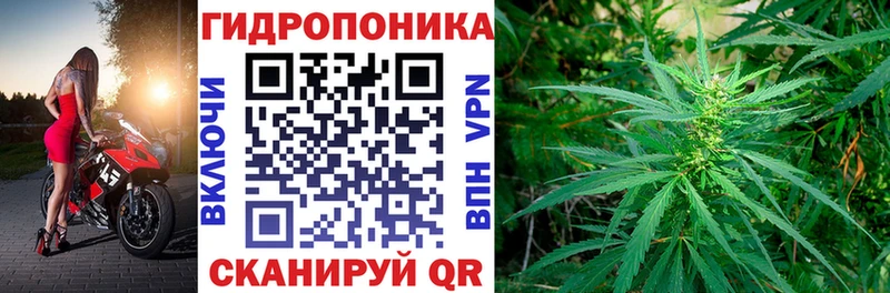 закладки  blacksprut ссылки  Каннабис OG Kush  Краснослободск 